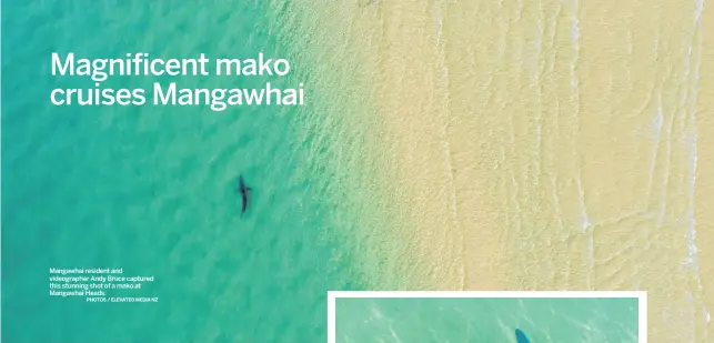  ?? PHOTOS / ELEVATED MEDIA NZ ?? Mangawhai resident and videograph­er Andy Bruce captured this stunning shot of a mako at Mangawhai Heads.