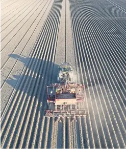  ??  ?? The CTF method in operation on James Peck’s farm.