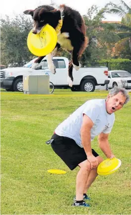  ?? STAFF PHOTO BY MARTA MIKULAN MARTIN ?? Astro goes airborne to snag a Frisbee during Sunrise’s annualWoof­stock event. Astro was part of a border collie demonstrat­ion led by John Arnett.