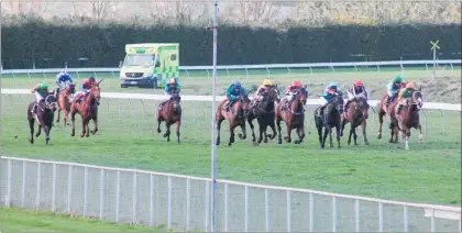  ??  ?? A full field in Race 7 on the back straight led by winner Obrigado in the green and orange strip.