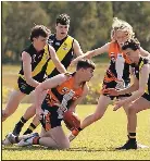 ROCHESTER JUNIOR FOOTBALL REPORT Under-14 - PressReader