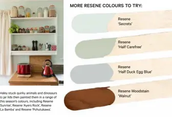  ??  ?? Resene ‘Secrets’ Resene
‘Half Carefree’ Resene
‘Half Duck Egg Blue’ Resene Woodstain ‘Walnut’
yhg
45 Haley stuck quirky animals and dinosaurs to jar lids then painted them in a range of this season’s colours, including Resene ‘Sunrise’, Resene...