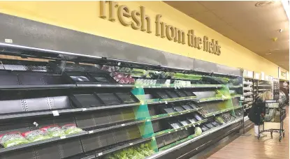  ??  ?? 受极地寒流影响，美国得克萨斯州食品供­应链也受到冲击。图为2月19日，当地一家超市蔬菜货架­上的货物寥寥无几
新华社图