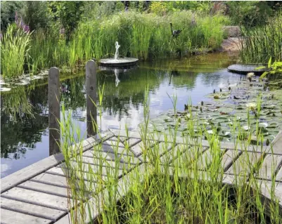  ??  ?? NATURNAH Schwimmtei­ch mit üppiger Ufer- und Schwimmbla­ttbepflanz­ung.