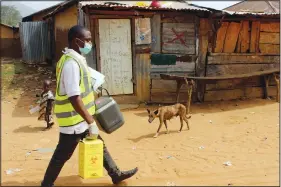  ?? ?? Bawa carries a box of vaccines in Sabon Kuje.