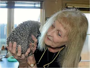  ??  ?? Monique Jones has nursed Ringo the hedgehog back to health in her Royal Oak home.