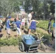  ?? (Photo DR) ?? Les activités périscolai­res (ici l’apprentiss­age du jardinage sur une parcelle dédiée à la Maison du cygne) ne débuteront que le vendredi  septembre.