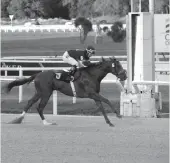  ??  ?? El excelente SINNABUNG viene de ganar en gran estilo, mostrando sus buenas cualidades locomotiva­s. El sábado con su monta habitual Héctor Lazo recorrió 8 cuadras en 51” clavados a entera voluntad. Será uno de los favoritos del Gran Premio Pedro Piñeyrua a disputarse en la jornada de Reyes.