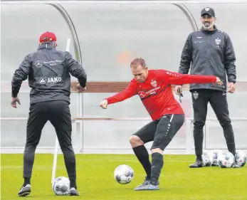  ?? FOTO: KEPPLER/IMAGO-IMAGES ?? Trainer Pellegrino Matarazzo (re.) will einen Wandel erreichen, Holger Badstuber (Mi.) könnte helfen.