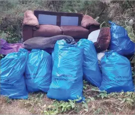  ??  ?? The bags of rubbish and abandonded sofa collected by the Glenmalure PURE Mile group.