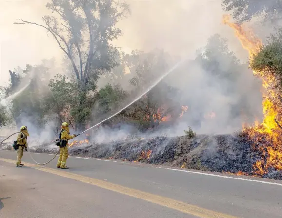  ?? Photo: Shuttersto­ck ?? Firefighte­rs hose down a tree during a burn out operation on Scott’s Valley Road in Lake County California.