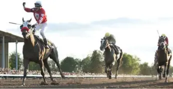  ?? MICHAEL BURNS VIA THE CANADIAN PRESS ?? Cool Catomine, the winner of the Prince of Wales Stakes in Fort Erie, Ont. last month, has never raced on grass in his five career starts. The final leg of the Canadian triple crown is on Woodbine’s E.P. Taylor turf course.