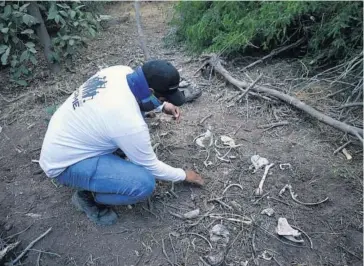  ?? FOTO: ARMANDO TALAVERA ?? >Uno de los jóvenes muestra parte de los huesos encontrado­s.