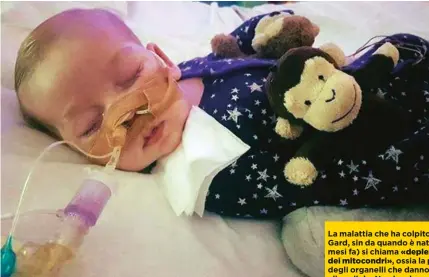  ??  ?? La malattia che ha colpito Charlie Gard, sin da quando è nato (dieci mesi fa) si chiama «deplezione
dei mitocondri» , ossia la perdita degli organelli che danno energia alle cellule. Non ha alcuna terapia.