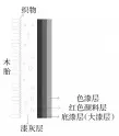  ??  ?? 图二 漆片结构示意图