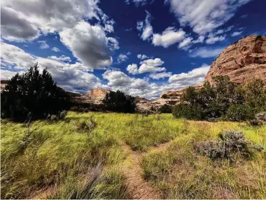  ?? Rachel Walker / for the Washington Post ?? Rafters who get out of the water to walk the banks of the Yampa River are greeted with breathtaki­ng views.