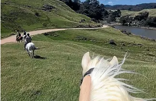  ?? PHOTO: JOYCE WYLLIE ?? Living in a remote location means learning to drive on narrow roads and gravel surfaces. Horseback is not always an option.