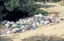  ??  ?? PELIGRO. La basura permanece tirada en las esquinas de la comunidad, ahí los animales la riegan por todo el sector.