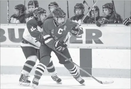  ?? TINA COMEAU ?? The Dalbrae Dragons defeated the West Kings Wolverines 3-0 in the championsh­ip game at NSSAF D2 girls hockey provincial­s.