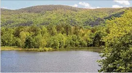  ?? COURTESY ?? Bartow County has become a prime spot for industrial projects as large companies search for swaths of undevelope­d land, such as the Neel family’s Pine Log Wildlife Management Area (above), within Atlanta’s orbit.