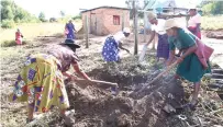  ?? ?? Women dig a refuse pit at Gogo Ellah Guta’s homestead in Mutasa, Manicaland yesterday