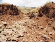  ?? Photo courtesy Central Maui Soil and Water Conservati­on District ?? Many stream banks within Pohakea Watershed experience erosion, one of the many problem areas that the recently approved management plan aims to address.