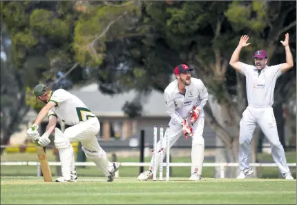  ?? Picture: PAUL CARRACHER ?? NOT OUT: Noradjuha-toolondo’s Troy Dumesny and Matt Combe, right, appeal unsuccessf­ully for a stumping against Nathan Alexander, West Wimmera, during the Horsham Cricket Associatio­n A Grade grand final on Saturday.