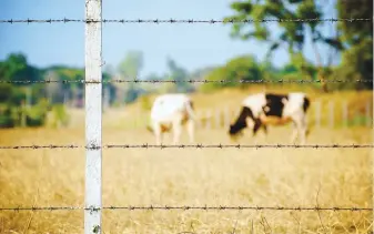  ?? Picture: Shuttersto­ck ?? MULTIPLE POSITIVES. SA’s uptake of the technology is low, with about 350 small-scale digesters installed, versus 14 000 in Kenya.