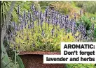  ??  ?? AROMATIC: Don’t forget lavender and herbs