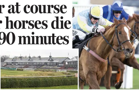  ??  ?? Horror: Horses died at Musselburg­h Racecourse within 90 minutes Tragedy: Gelding Smart Ruler at Musselburg­h in 2014