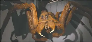  ??  ?? If you’re anything like Rupert Grint’s Ron Weasley, the giant prop of Aragog the giant spider may freak you out.