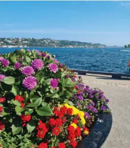  ?? FOTO: SILJE BRATLAND ROKSVÅG ?? BLOMSTRER: Slik kan det se ut når sommerblom­stene er på plass i Arendal sentrum.