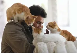  ?? — AFP ?? Mohammed Alaa al- Jaleel pets cats at Ernesto’s Cat Sanctuary that he runs in Kfar Naha, an Opposition- held town in Aleppo province in Syria.