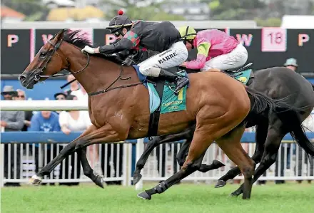  ?? SUPPLIED ?? Volpe Veloce takes her unbeaten record to six with victory in the Eight Carat Classic at Ellerslie on Boxing Day.