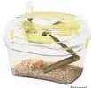 ?? Petsmar t ?? HAMSTERS, GERBILS and mice can eat, drink and burrow to their hearts’ content in the National Geographic Jumbo Exploratio­n Loft, $34.97, which has clear and earth-toned plastics instead of the rainbow of candy colors often found in such habitats. From...