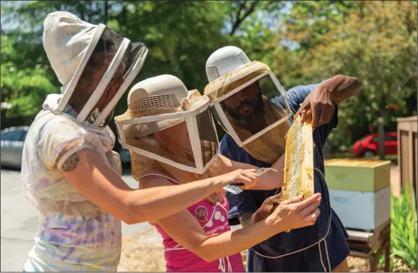  ?? (Special to the Democrat-Gazette) ?? Lauren Anderson (left) helps harvest honey at the University of Arkansas for Medical Sciences. She will be on hand to talk about beekeeping and offer a taste of local honey.