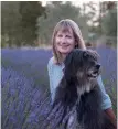  ??  ?? Karen Rhind harvests locally grown grosso lavender and uses the oil in boutique products sold in her Cromwell heritage precinct store, The Tent House. thetenthou­se.co. nz