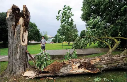  ?? CLIFFORD SKARSTEDT Examiner ?? Dylan Fergie checks damage to a tree that snapped at Victoria Park following a storm that passed through the city with heavy rain and strong winds on Friday.