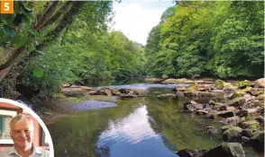  ??  ?? 5
5 The trail down the Hackfall gorge is quite steep, but you can picnic by the River Ure