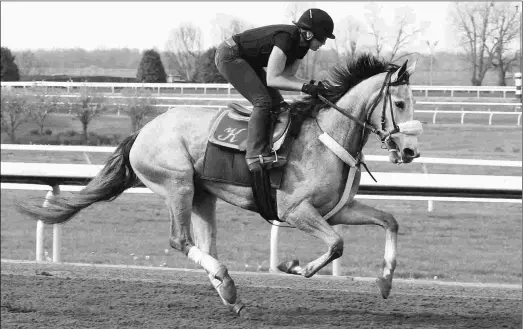  ?? KEENELAND/COADY PHOTOGRAPH­Y ?? Sailor’s Valentine (above) starts Friday for Eddie Kenneally in the Kentucky Oaks. Alotta Skirt can give the barn a lift Tuesday.