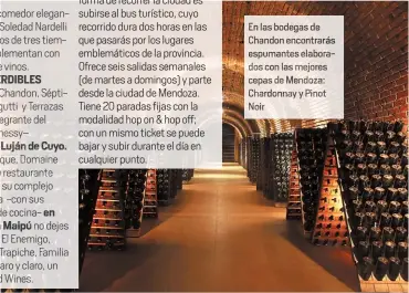  ??  ?? En las bodegas de Chandon encontrará­s espumantes elaborados con las mejores cepas de Mendoza: Chardonnay y inot Noir