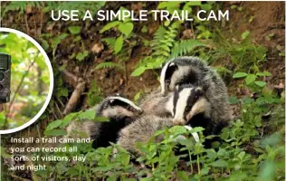  ??  ?? Install a trail cam and you can record all sorts of visitors, day and night