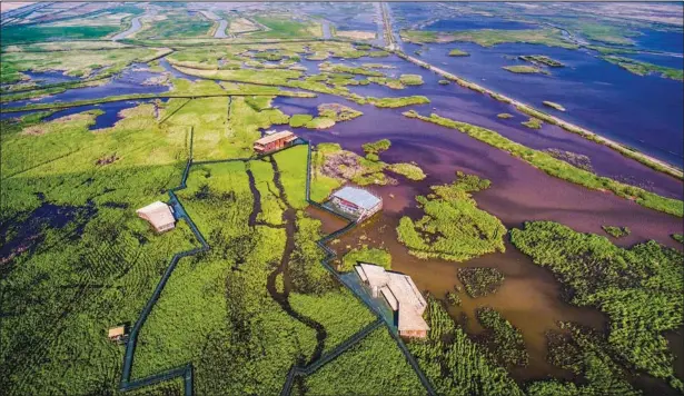  ?? LU YI / FOR CHINA DAILY ?? Dongtan Wetland in Chongming. The region is to be developed into a “world-class ecological island” by 2040.