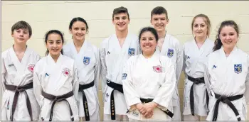  ?? CONTRIBUTE­D ?? (Left to right) Dorian Thibault, Denise Thibault, Tysten Deveau, Riley Deveau, Marc-Andre Theriault, Madyson Smith, Mia Gaudet. In Front row, Sensei Anna Bartlett of the Bushino Ki Karate Club in Church Point.