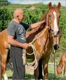  ??  ?? Joshua Kauta is completely at home in the bush with his dogs, horses and quad bike – or in his workshop where he restores old books. AMANDA SAXTON / FAIRFAXNZ