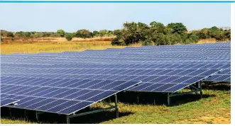  ??  ?? Enel Green Power gestiona más de 1.200 plantas que producen energía a partir de fuentes renovables.