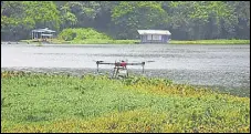  ??  ?? The herbicide is allegedly being sprayed to control the growth of water hyacinths in Powai lake.