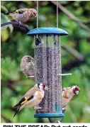  ?? ?? BIN THE BREAD: Put out seeds or fat balls in hanging feeders