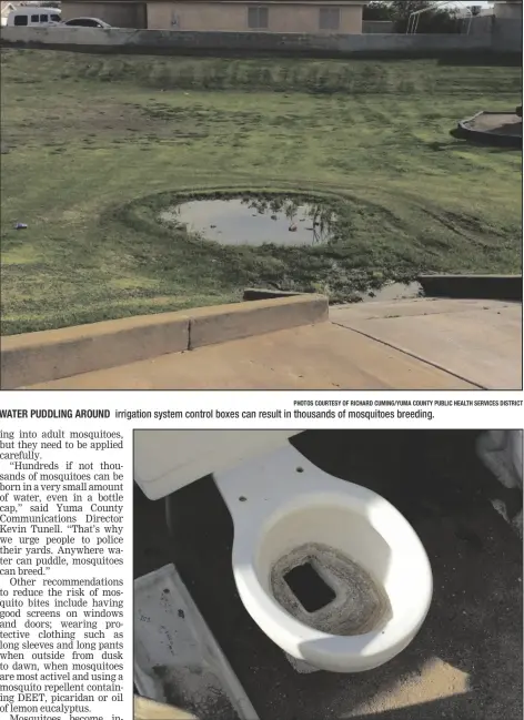  ?? PHOTOS COURTESY OF RICHARD CUMING/YUMA COUNTY PUBLIC HEALTH SERVICES DISTRICT ?? WATER PUDDLING AROUND irrigation system control boxes can result in thousands of mosquitoes breeding.