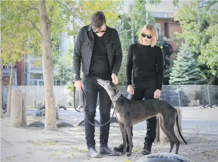  ?? PAUL LABONTÉ ?? Dara the retired racing Greyhound enjoys a tender moment with owners Fred Allard and Jenn Sim.